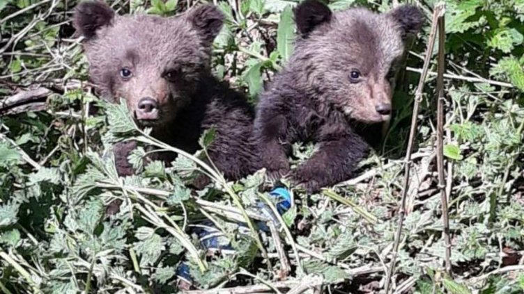 Снимка Велин Метов