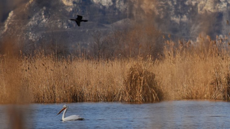 снимки: Пламен Гутинов