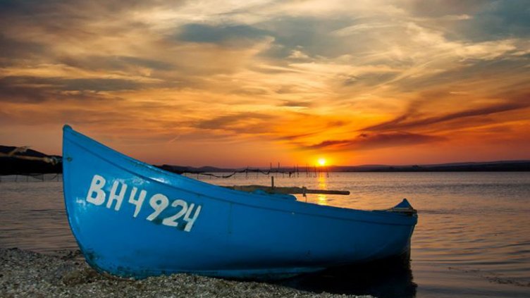 снимка: Ели Маринова