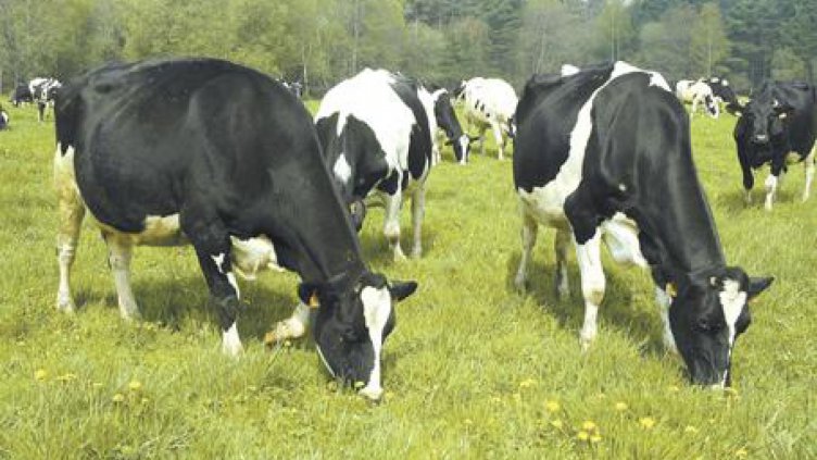 Карантината в с. Млада гвардия и с. Бозвелийско остава