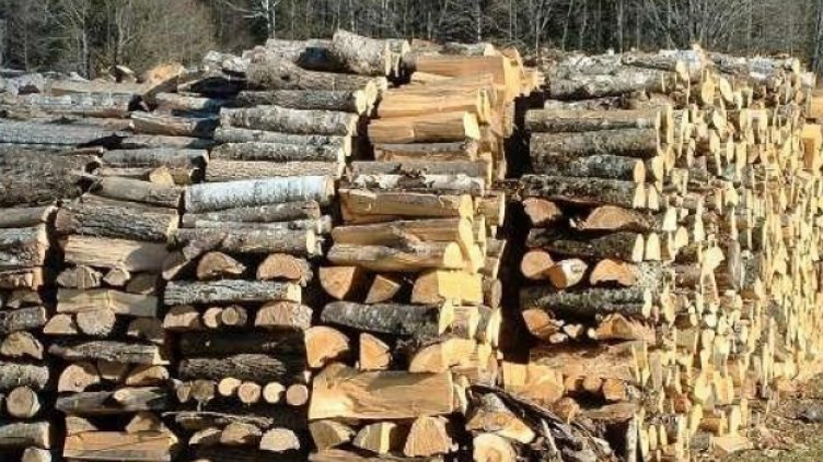 Скок в цените на дървата и въглищата преди есента