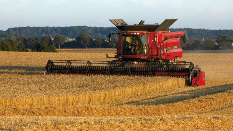 Закриват Националната служба по зърното?