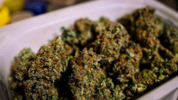 Задържаха мъж с 11 пакетчета марихуана