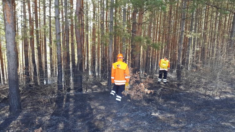 България е на второ място по горски пожари в Европа
