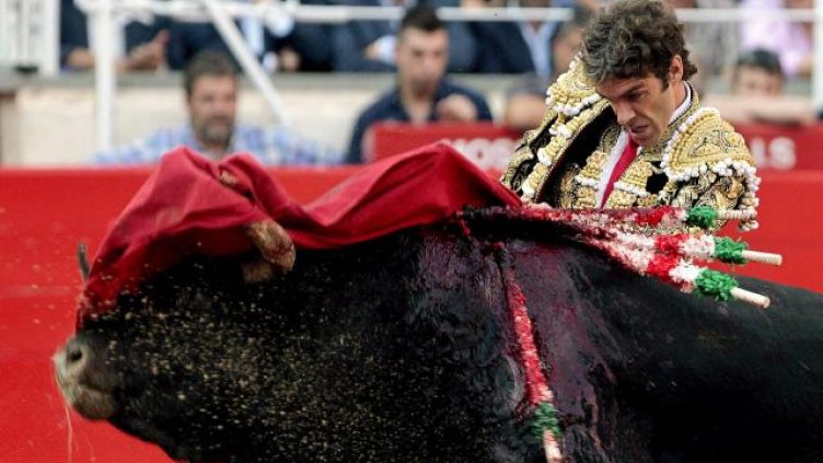 Девет дни купон и надбягване с бикове