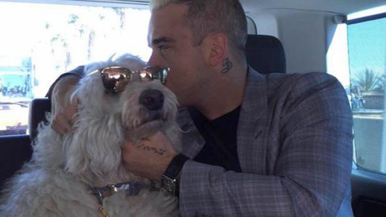 Роби Уилямс води у нас баща си и кучето