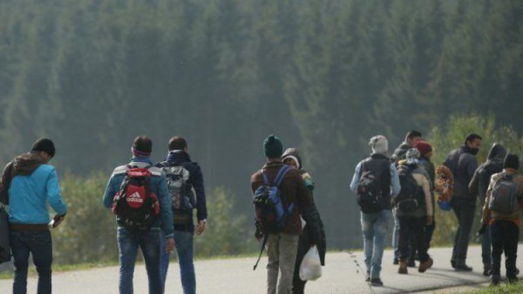 Половината мигрантите у нас са от Афганистан