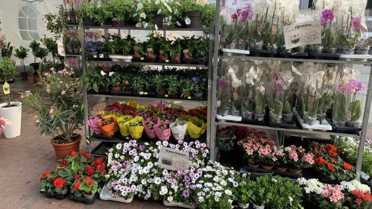 Вижте съпътстващата програма към фестивала „Флора Варна“	