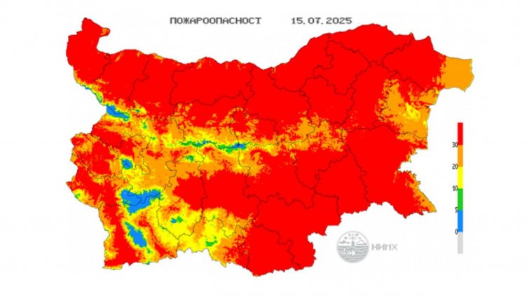 Графика: НИМХ