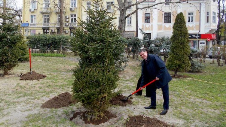 Кметът на район &quot;Одесос&quot; Георги Недев също се включи в засаждането на дръвчета.