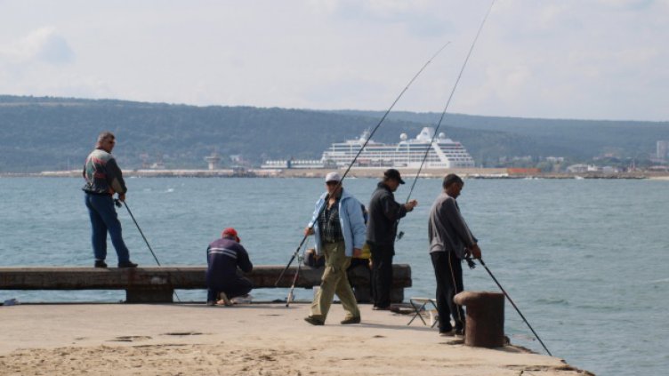 По-чистата морска вода помогна за рекордния улов на риба тази година
