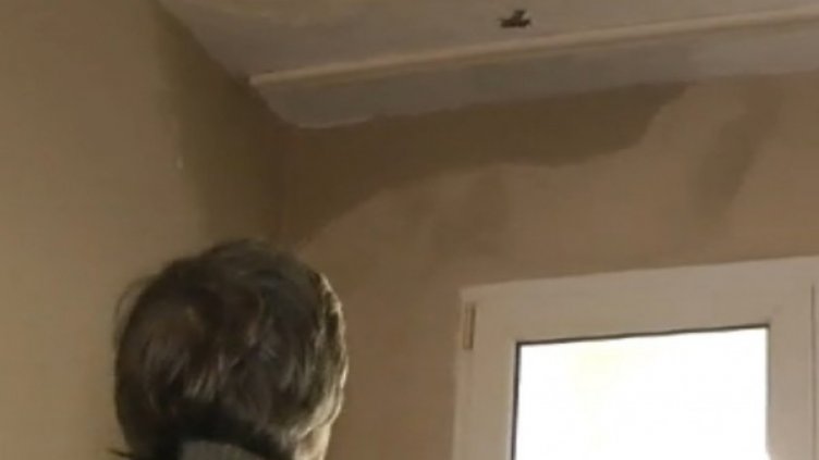 Снимка bgonair.