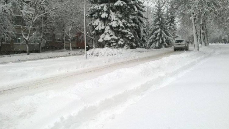 Снимка Елеонора Панайотова