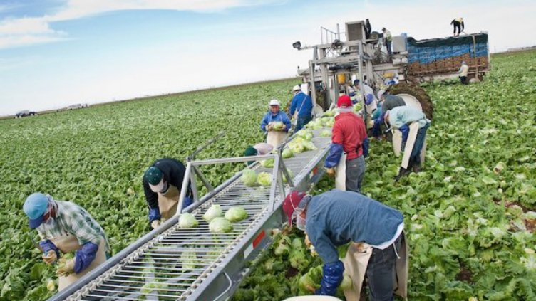 Два пъти повече чужденци с разрешение за работа у нас