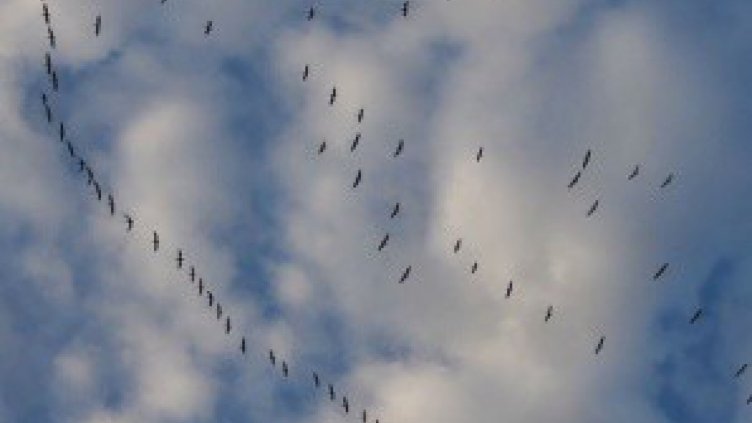 Времето на 19 октомври: Ще бъде топло и без валежи