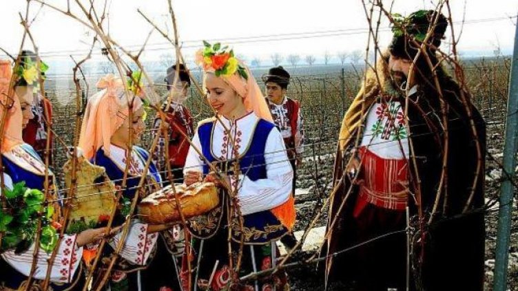 Над 80 млн. литра вино произвеждаме в България ежегодно