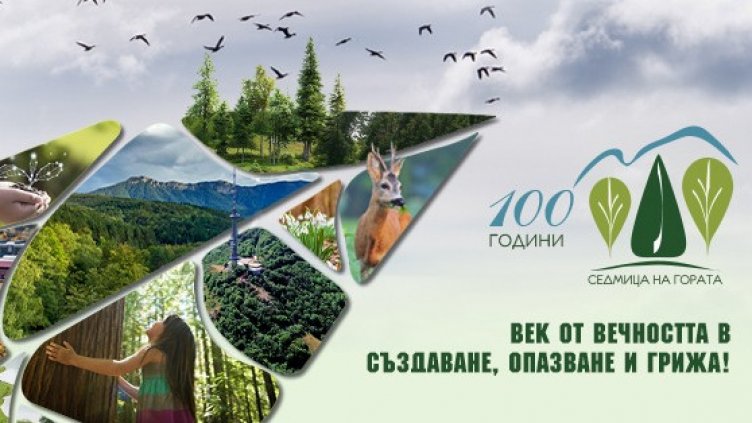 165 декара нови гори бяха залесени на територията на СИДП