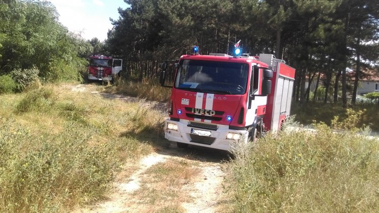 Пожарът в българската част на планината Славянка е локализиран