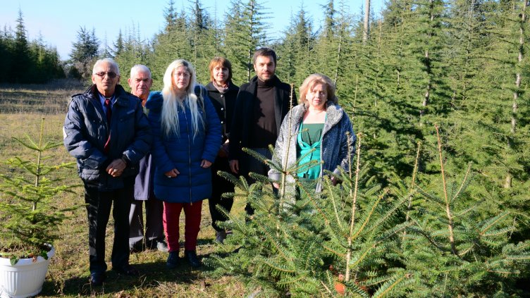 Училища и градини получиха коледно дърво от кампанията "Купи жива елхичка, помогни на дете“