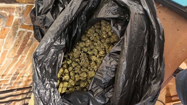 Разбиха наркооранжерия в "Максуда"