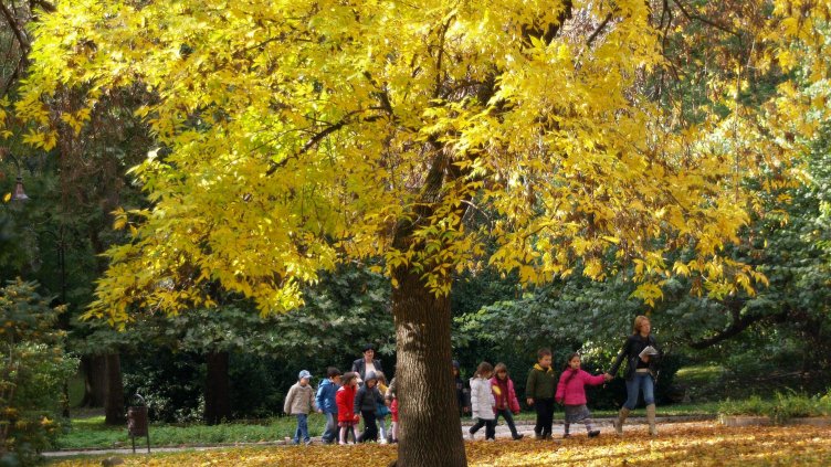 Днес ще се радваме на слънчев ден