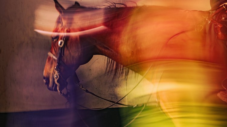 Бус с ученици удари кон на пътя