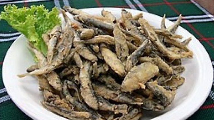 НАП ще направи над 6000 проверки по обекти на морето