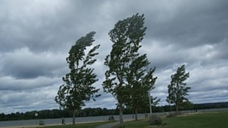 За Варна и Добрич е в сила предупреждение за силен вятър по брега на морето