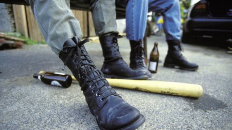 Трима нахлуха с пистолет и бухалка в къща във Видинско