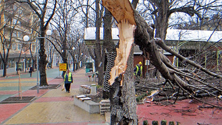 Ураганен вятър изпочупи стъклата на училище в Сопот