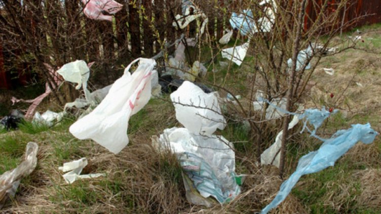 Международния ден без найлонови торбички отбелязваме днес