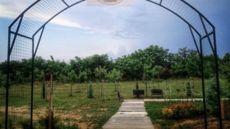 Залесяват „Борисовата градина" в „Галата“