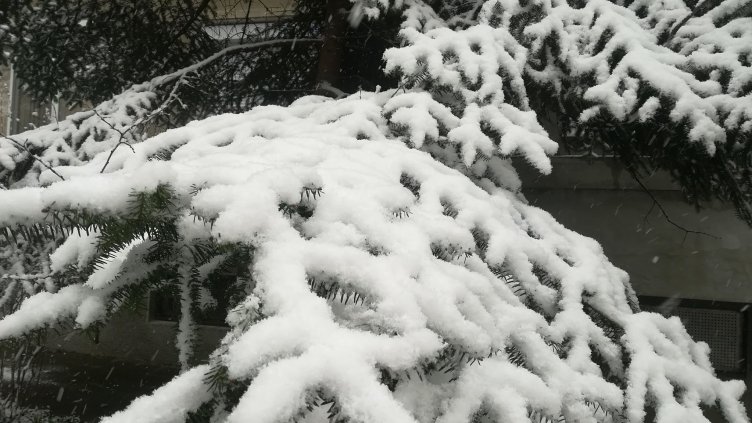 Условията за туризъм в планините са добри