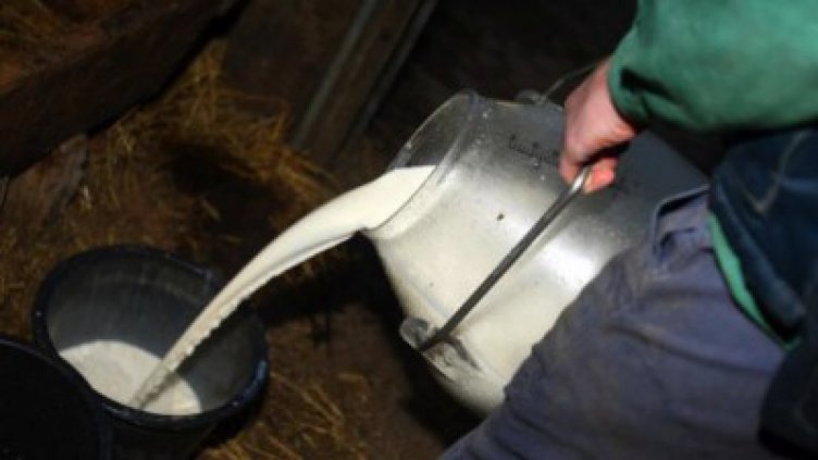 Фермери искат спешна среща с агроминистъра заради изкупните цени на млякото