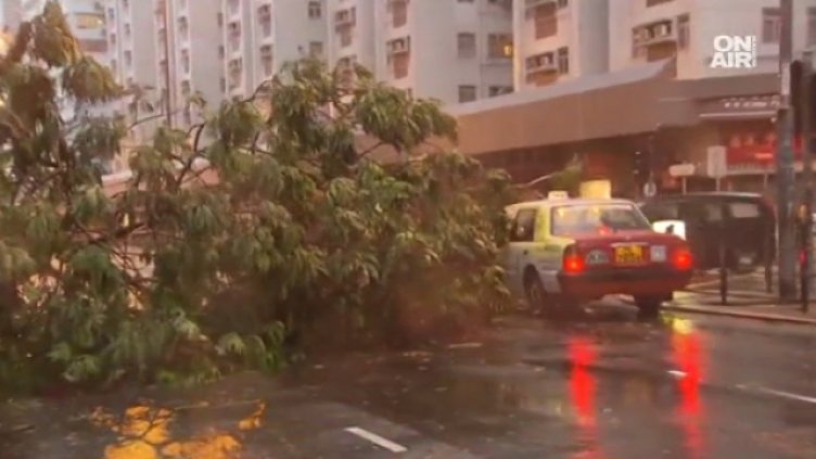 Отмениха над 300 полета в Хонг Конг заради урагана Пахар