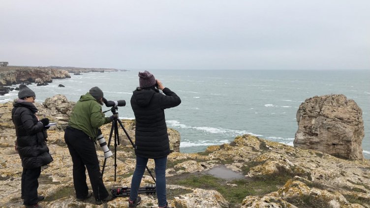 Започва броенето на зимуващите водолюбиви птици в България