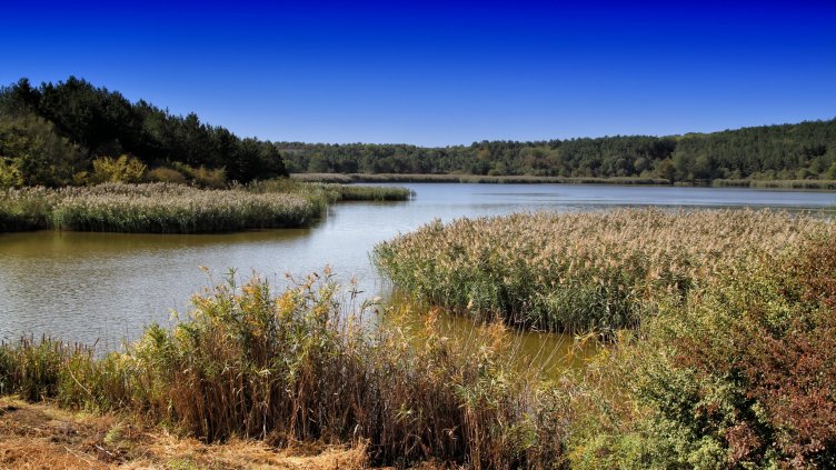 Добруджа крие приятни изненади за любителите на спорта и риболова