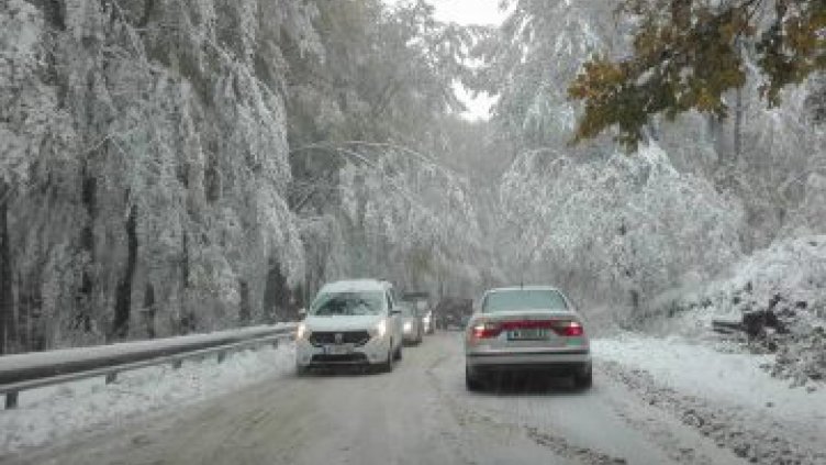 Коли закъсаха в прохода Петрохан
