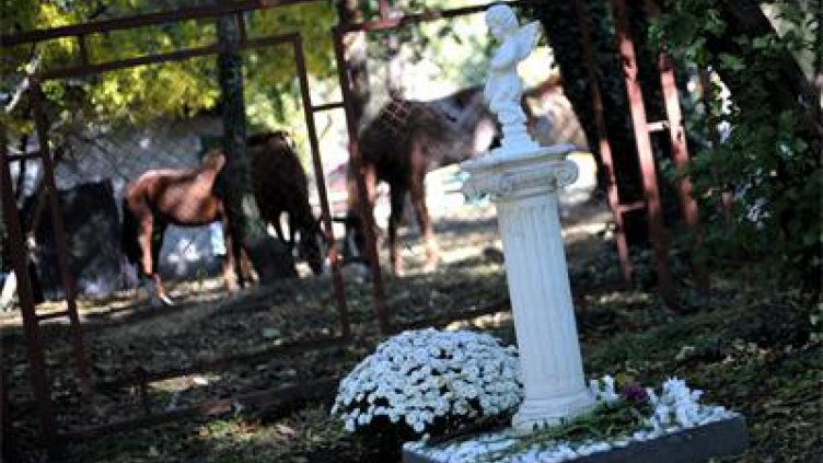 Поставиха паметник на убития в Борисовата градина ученик