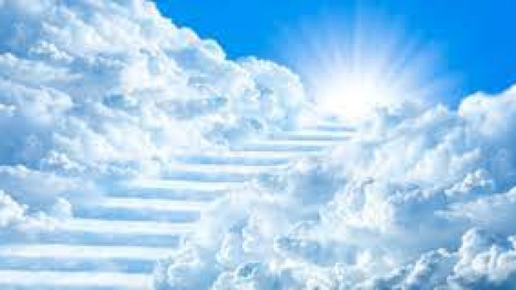 Виц на деня - 12 октомври