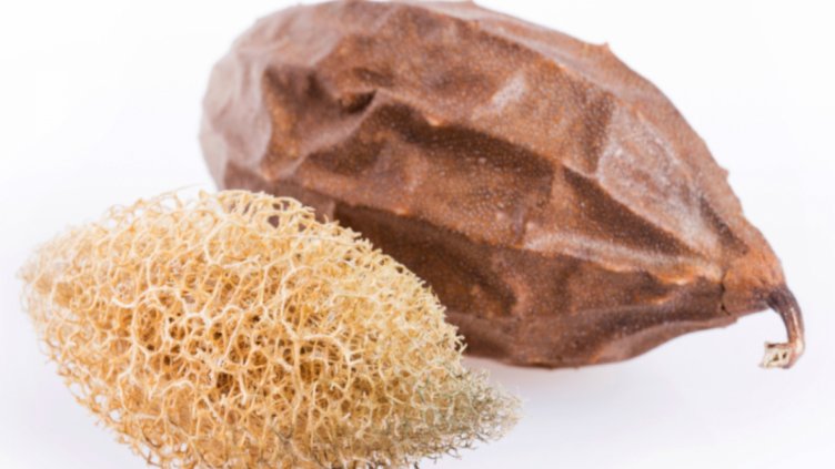 Азбука на хомеопатията. Луфа оперкулата