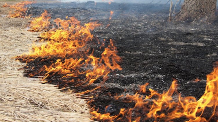 Запалени земеделски земи горят край пътя между ловешките селата Ъглен и Бежаново