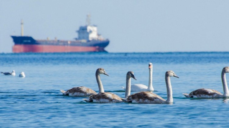 Времето във вторник във Варна ще бъде ясно и слънчево