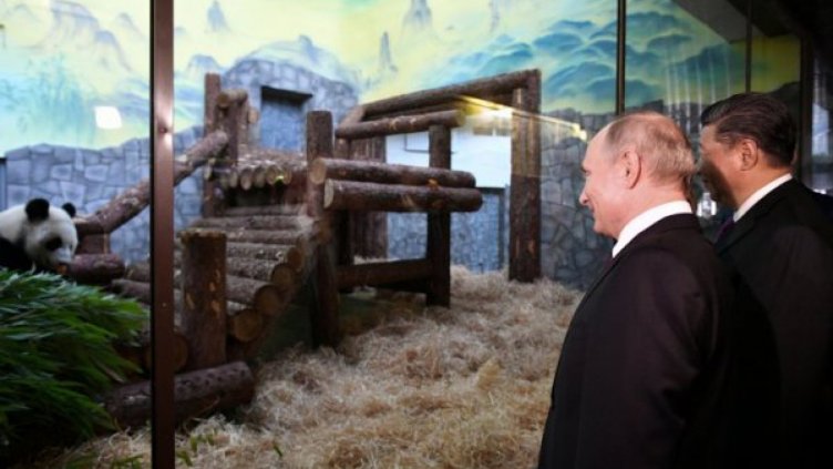 Панда дипломацията на Китай накара Путин да се усмихне  