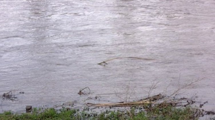 Взеха проби от водата на река Главница след инцидента с възпламенената цистерна