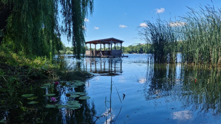 Мор на риба в язовир „Засмяно“