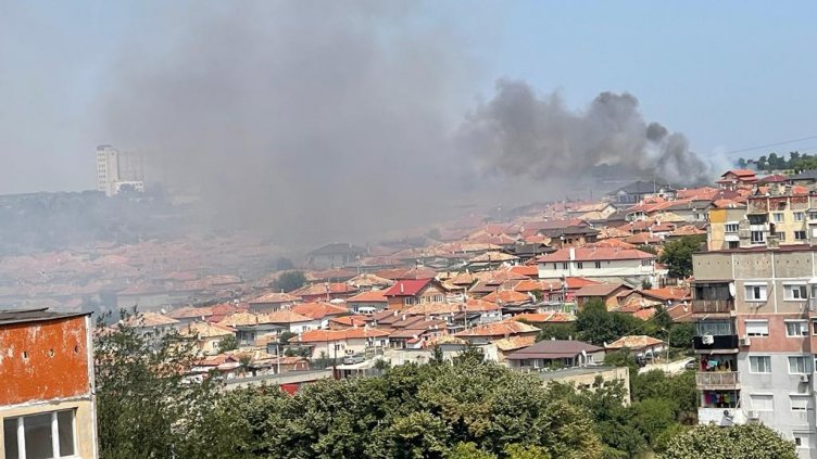 Пожар в сухи треви запали къща в Добрич