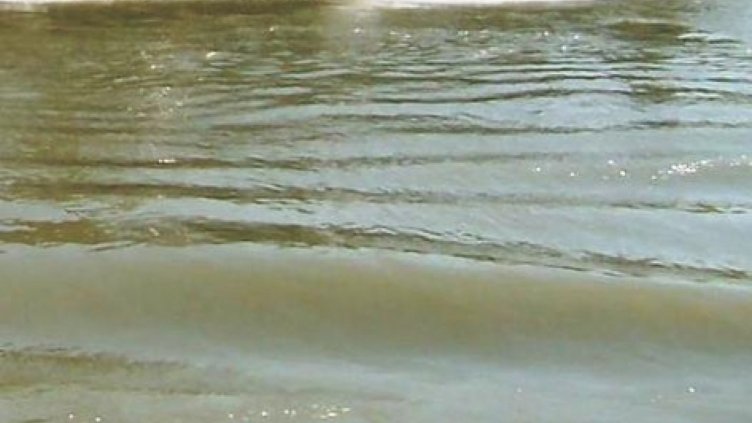 Нивото на река Дунав вече е критично