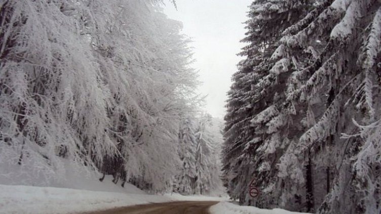 Протестно хоро поиска тунел под прохода „Петрохан”