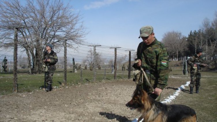 Граничари спипаха 60 нелегални сирийци край Свиленград